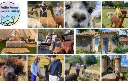 Vue du chateau a La Petite Ferme d'Alpacas - Foto 19