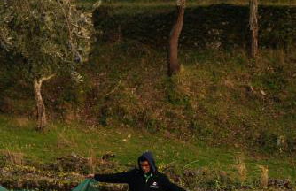 Azeite de Marvão, Olivoturismo casa Venda do Lagar - Foto 33