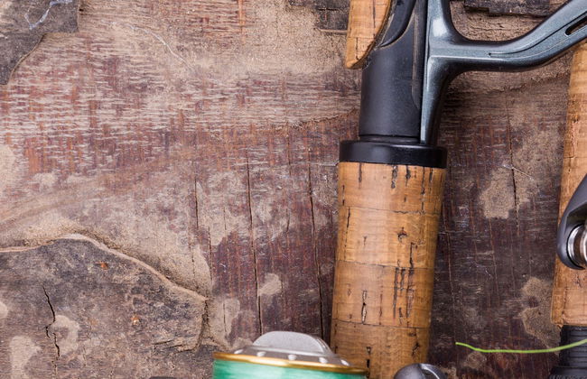 Fishing in Playas del Coco - Foto 1