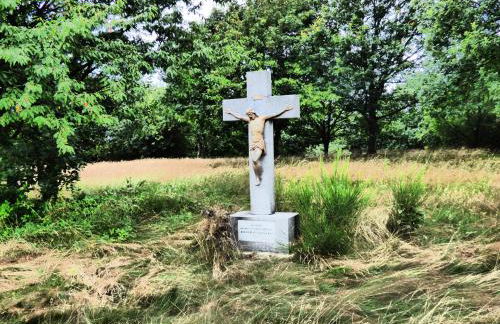 Relaxen am Eifelbach - Foto 21