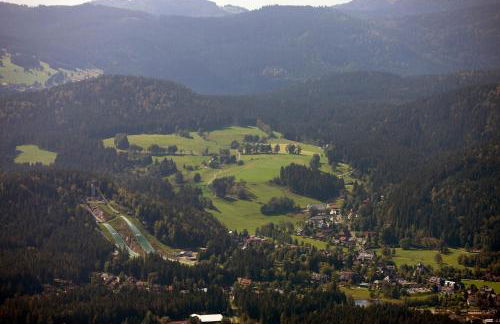 Hus im Schwefelmättle, Hinterzarten - Foto 12