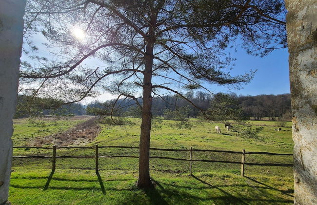 Lovely Holiday Home in Orval With Garden - Photo 40