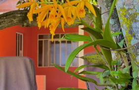 Casa Refúgio Cataratas by Grasi - Foto 48