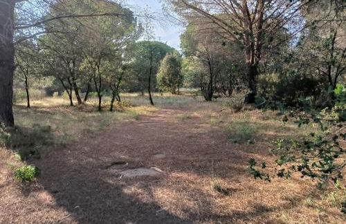 location saisonnière curiste - Foto 20