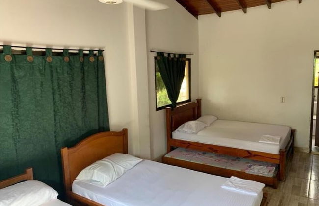 Las acacias Tolu - Foto 20