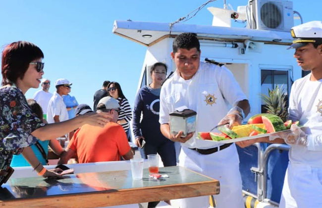 Excursión a Isla Tortuga - Foto 4