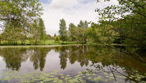 North Lodge at Pudleston Court - Foto 4