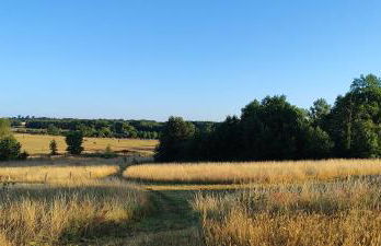 Domaine équestre de la Chênaie - Foto 60