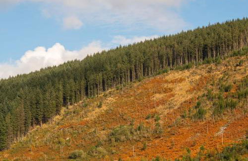 The SPACE Large House In Afan Forest Bike Park By STAE-Homes - Photo 38