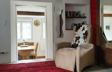 apartment, gite by the canal l Est,river Coney vosges france - Foto 16