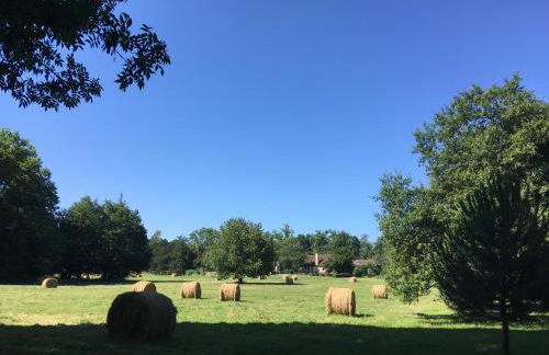 La Chartreuse et son Orangerie - Foto 24