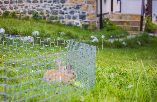 Şamlıoğlu Historical Mansion - Photo 13