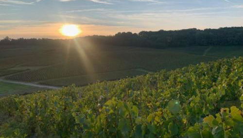 Appartement sur la route touristique du champagne - Foto 4