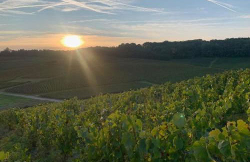 Appartement sur la route touristique du champagne - Foto 4