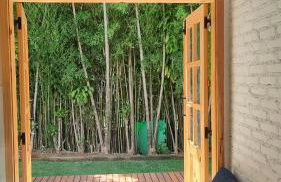 Tiny House das Araras - Foto 3