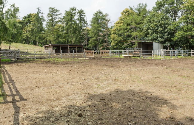 Unique Holiday Experience in Greenery near Lake - Foto 36