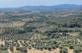 Agriturismo Tenuta di Montemassi La Fattoria - Foto 15