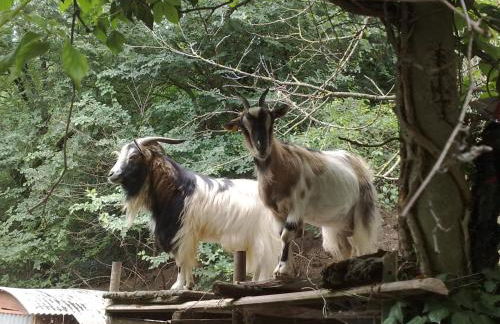 Agriturismo La Pietriccia - Foto 120