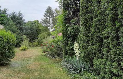 Dom nad Wisłą - Foto 9