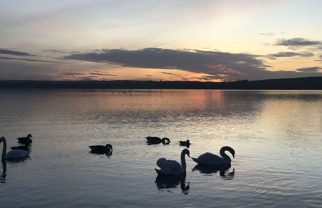 Droomvakantie aan de Ammersee - Foto 15