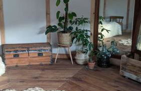 Cabayourte à la mauvaise herbe - Foto 21