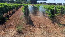 Agriturismo Bellu - Foto 5