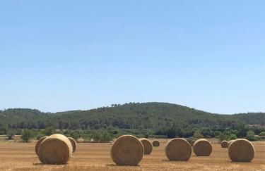 Agroturisme MAS CAN FONT - Foto 43