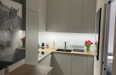 APARTAMENT 4 bed 2 room WARSAW - Foto 5