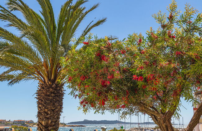Les Rivages de Coudoulière - Foto 31