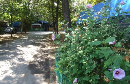 Camping Orpheus Apartments - Foto 55