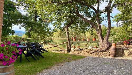 Agriturismo Colle Sereno - Foto 2, Garden