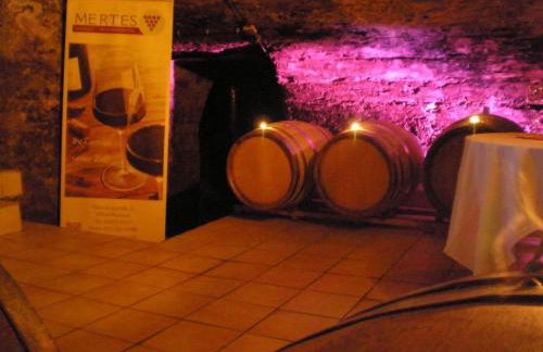 Holiday Home Weingut Mertes - Foto 11