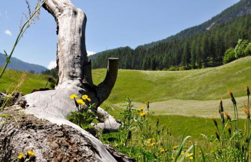 Guesthouse Rungg - Foto 72