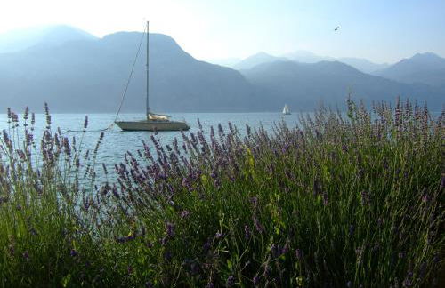 Residence San Vito - Foto 15