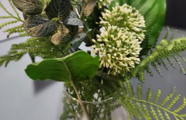 Modern Serviced Studio - Affordable Luxury with Free WIFI Free Parking Flat Screen Smart TV - Foto 17