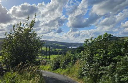 Folly View - Private, peaceful apartment with stunning views. - Foto 73