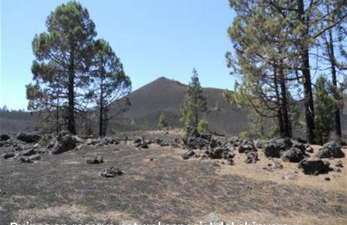 La Fortaleza - Foto 49