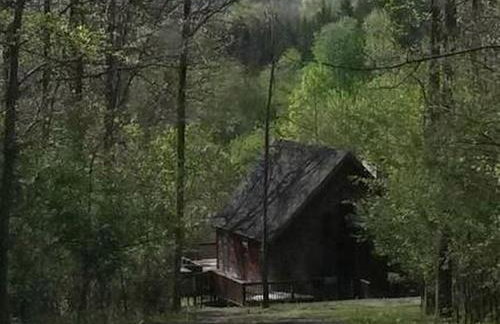 Cabin Rental with Hot Tub in the New River Gorge Region of West Virginia - Foto 6