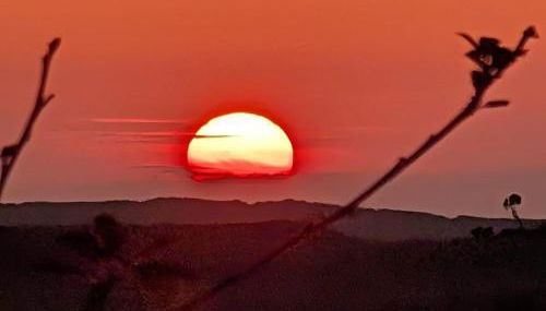 West mouse view - Foto 3