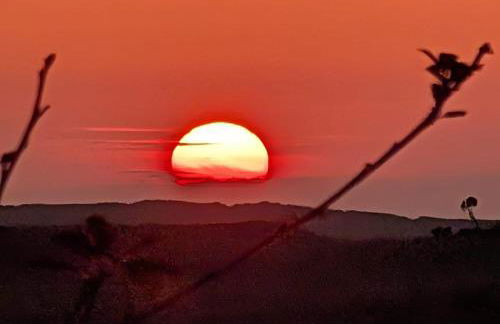 West mouse view - Foto 3