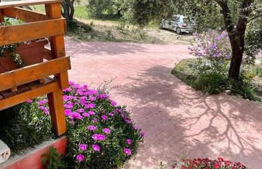 The lodge guest house - Foto 20