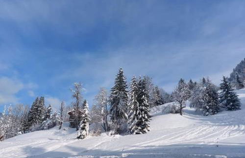 Appartamento di charme - Foto 21