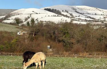 Deer Cabin-hot tub-dog friendly-mountain view - Foto 8