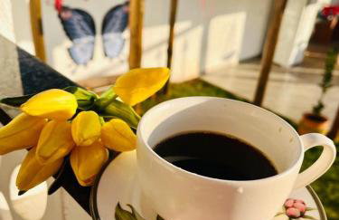 Pousada Dona Terezinha - Foto 49