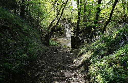 The Riverside Tailor's Retreat at Wray - Foto 51