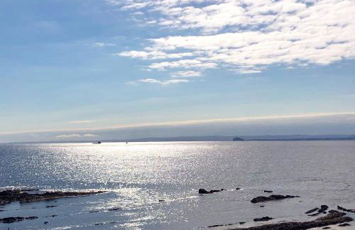 Fisher Gallery - Foto 21