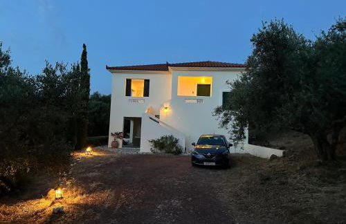 Kyparissia De Wandelboom - Foto 11