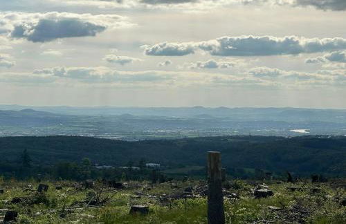 Gästezimmer M. Schubert - Foto 31
