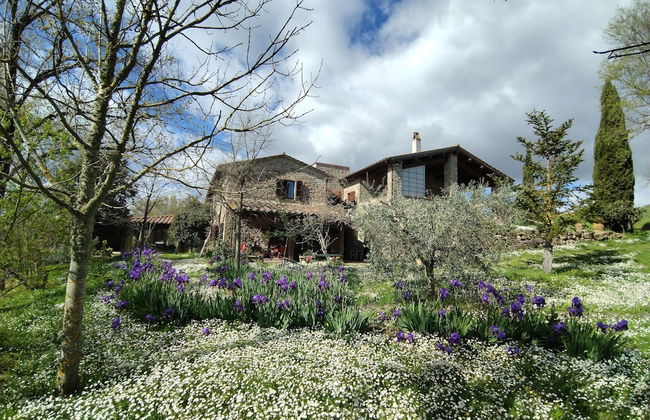 Agriturismo Casa Greppo - L'Ulivo - Foto 50