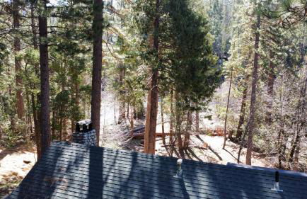 Along The River - Foto 12